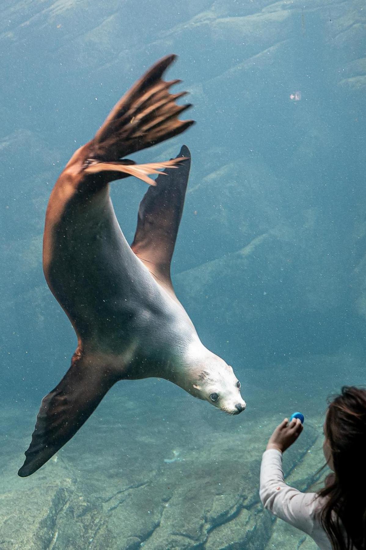 La Perle Marine :Boulogne Sur Mer エクステリア 写真
